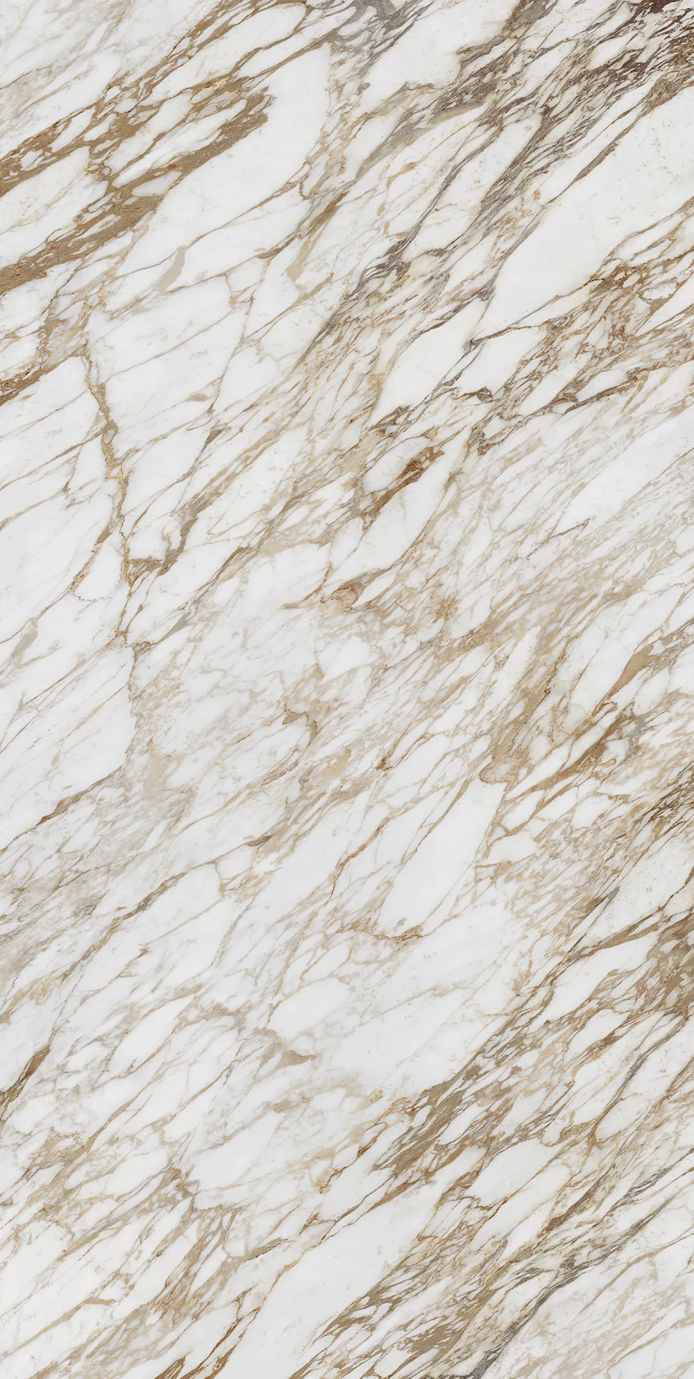 Arabescato Diva full stone slab