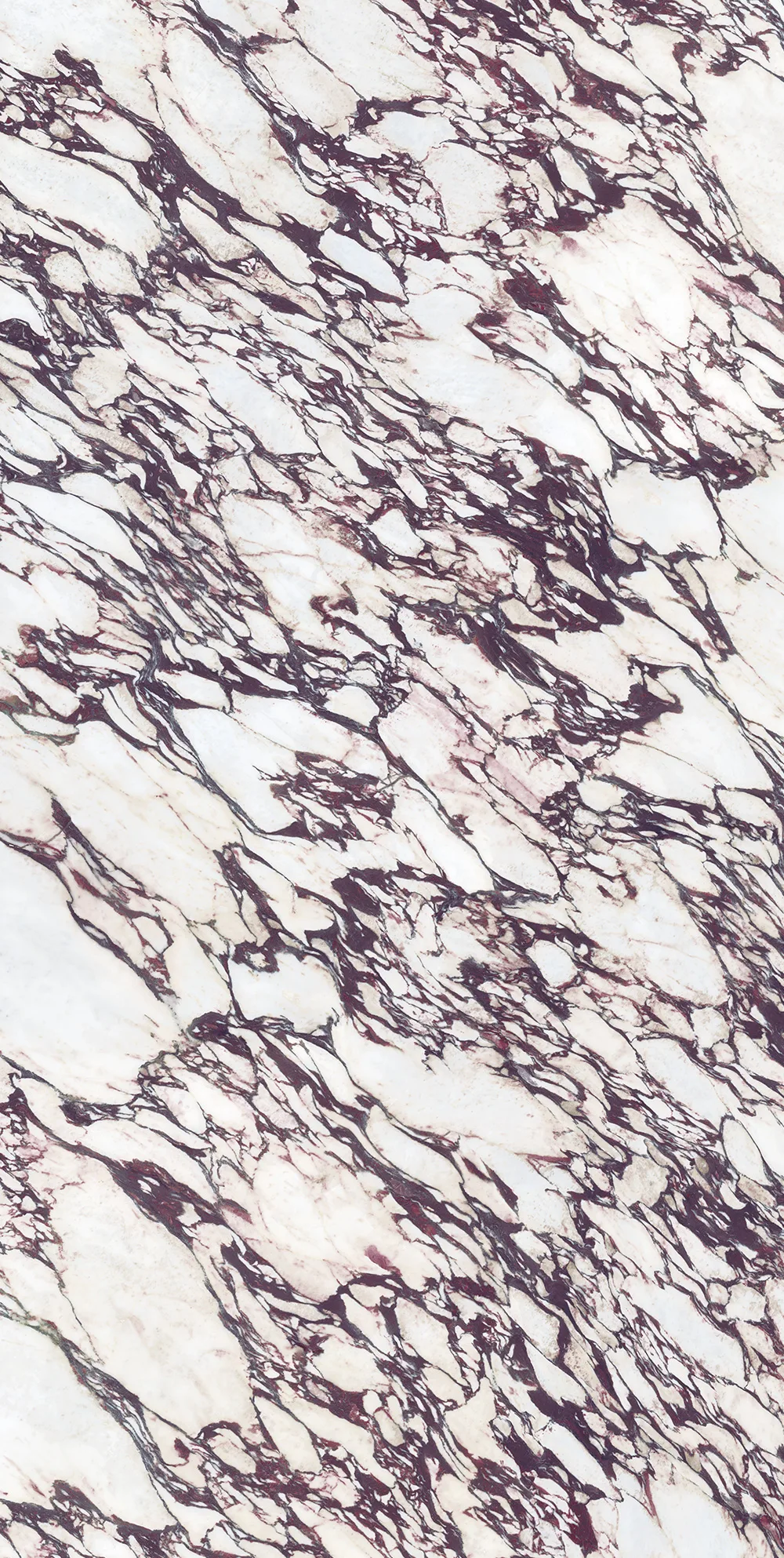 Calacatta Viola full stone slab